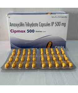 CIPMOX 500 MG